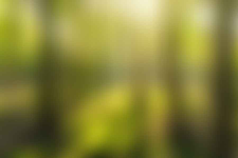 Cove Environmental Sensors
